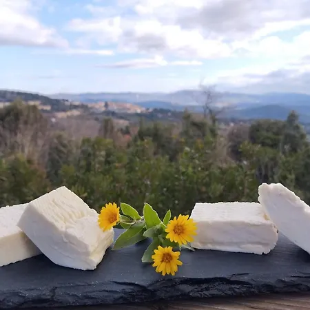 Camping Glamping Le Ginestre